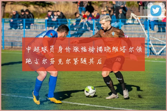 中超球员身价涨幅榜揭晓维塔尔领跑古尔芬克尔紧随其后