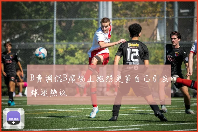 B费调侃B席场上抱怨更甚自己引发球迷热议