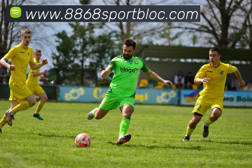 8868体育服务体系